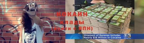 шишки Беломорск