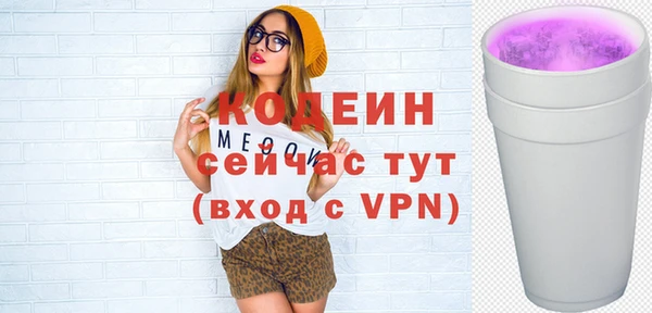 шишки Белоозёрский
