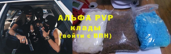 шишки Беломорск