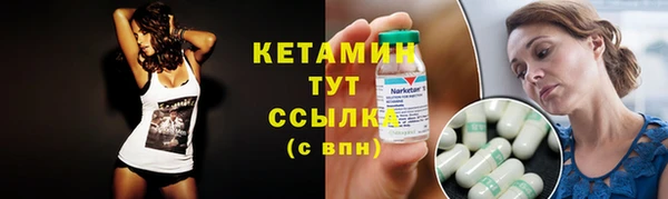 шишки Белоозёрский