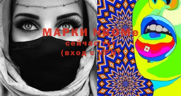 шишки Белоозёрский