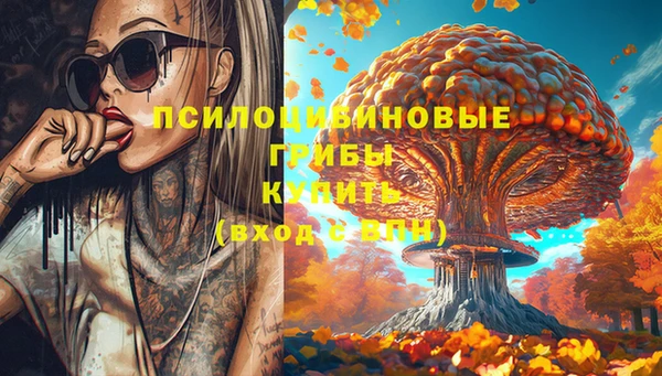 шишки Белоозёрский