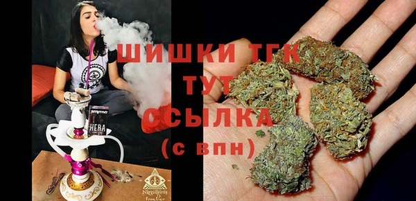 шишки Беломорск