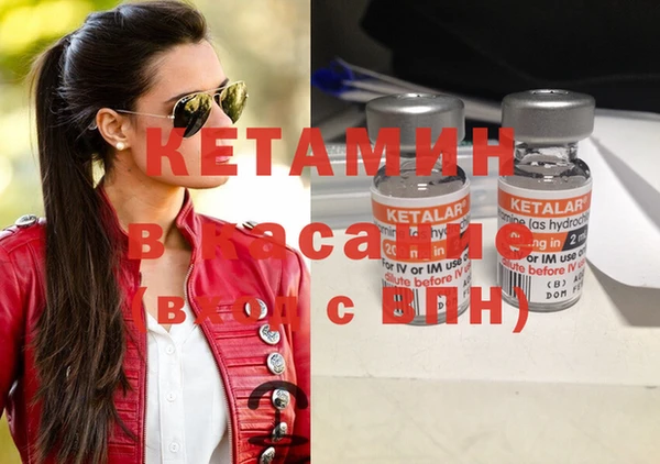 шишки Беломорск