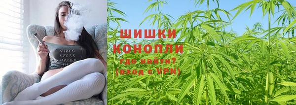 шишки Беломорск