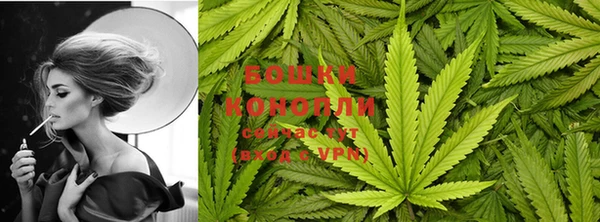шишки Беломорск