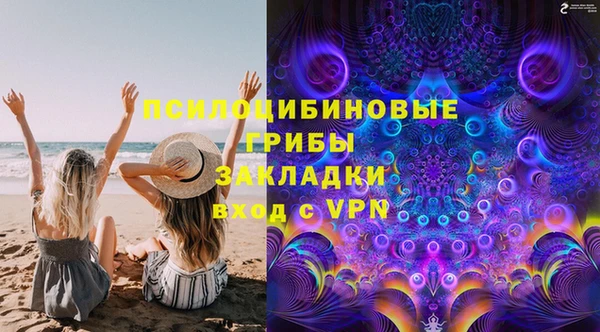шишки Белоозёрский