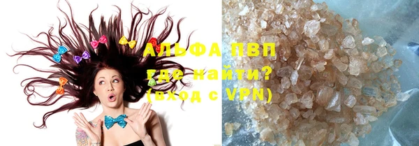 шишки Беломорск