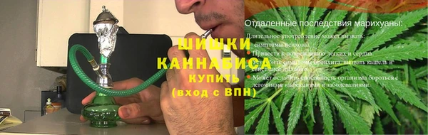 шишки Беломорск