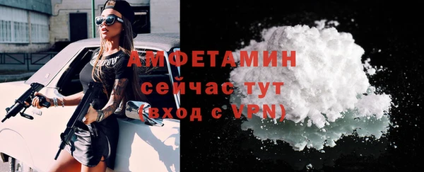 шишки Беломорск
