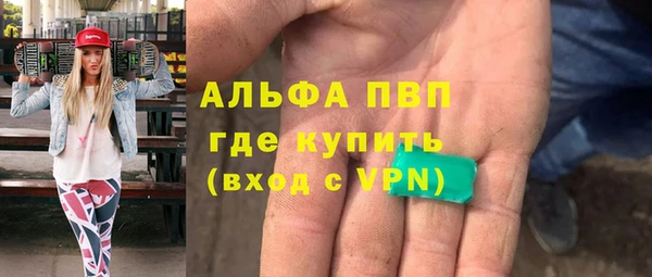 шишки Белоозёрский